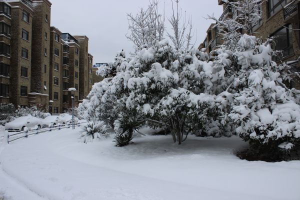 201302190827439946.JPG