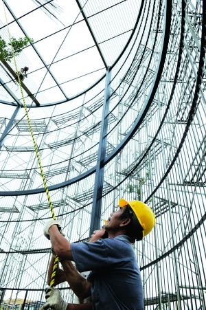 淮安市新动物园建设巨大老鹰笼