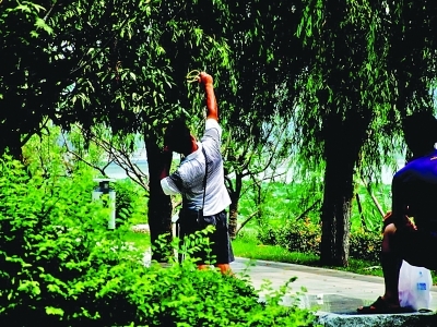 玄武湖畔一市民弹弓打鸟 众游客上前劝阻