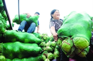 淮安清江市场调运3000余吨蔬菜保证市场需求