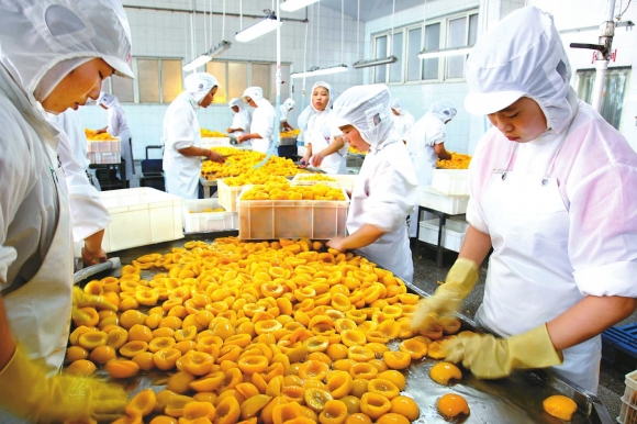 连云港产罐头已向近70个国家和地区出口