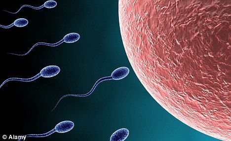 日本培育人造精子再度引发伦理道德问题