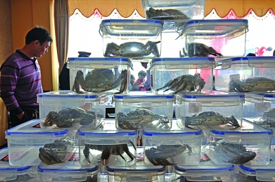 整合品牌 洪泽湖大闸蟹对接超市闯世界