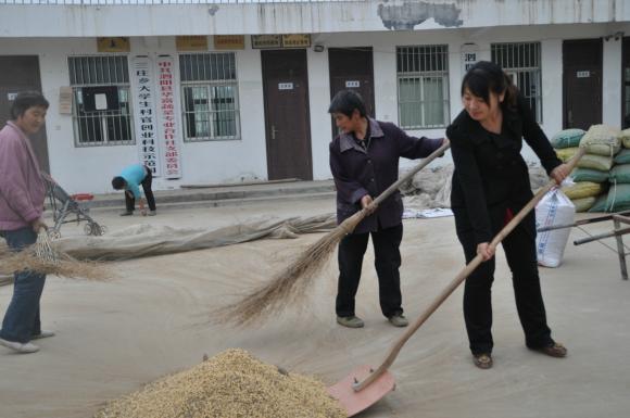 宿迁大学生村官张秋香创业带动村民就业