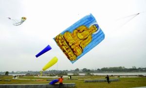 90平米南京最大风筝现身风筝大赛