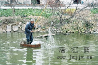 春节临近 靖江众多鱼塘开始捕鱼