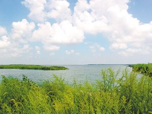 江苏省投资4.9亿元保护修复盐城湿地
