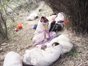 十多名外来工夜宿山林 市民资助钱财遭拒