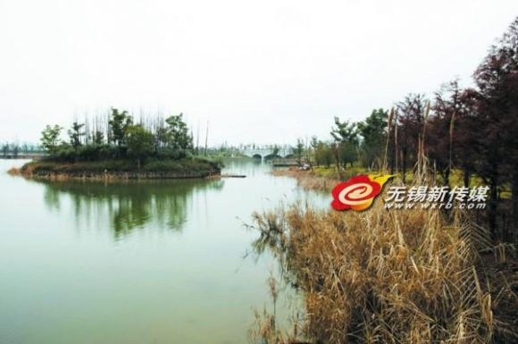 中国十大湿地图片