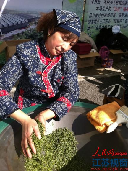江苏最大茶叶产区宜兴湖父镇新茶开采