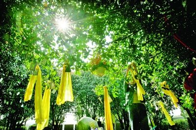 南京功德园树葬免费虚拟纪念馆网上祭祀