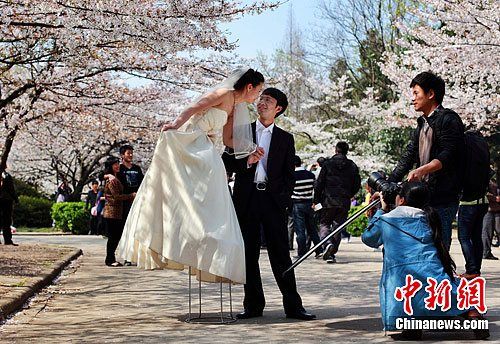 南京情侣樱花树下浪漫拍摄婚纱照