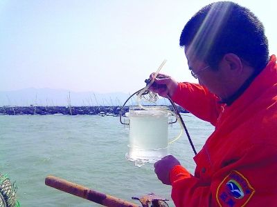 连云港海州湾海域赤潮监视监测启动