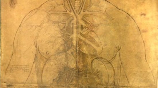 英展出达芬奇人体解剖素描 精确度惊人