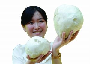 南京首次发现巨型马勃菌 幼嫩时可食用