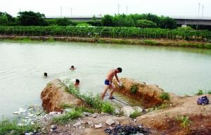 南京三名女孩溺水 菜农救起两人另1人死亡