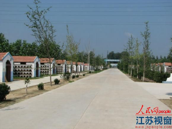 邳州养兔专业合作社1500大户年创产值上亿元