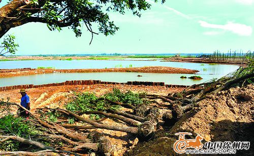 贾汪潘安湖湿地公园9月29日开园迎客