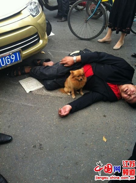 南京一男子遭遇车祸 忠犬护主阻人靠近