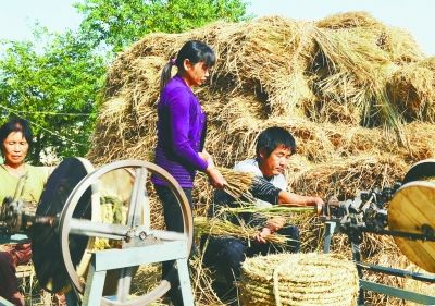 高淳一村民购秸秆<em>编织机</em>消化稻草