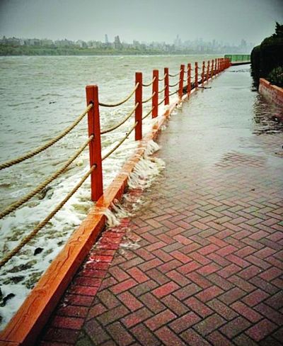 在美江苏人亲历飓风:眼看河水冲破堤岸