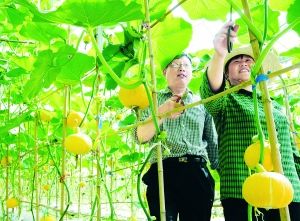 淮安清浦区发展现代农业 促进农民增收