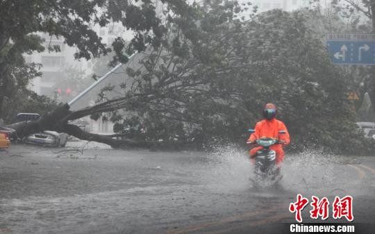 强台风 海燕 严重影响三亚 187架次航班取消