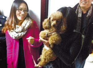 徐州警方全城搜索泰迪犬 破获20万元盗窃案