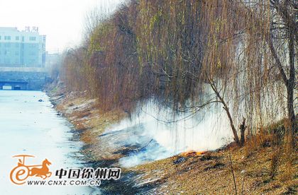 徐州三八河公园草坪起火 疑是乱扔烟头所致