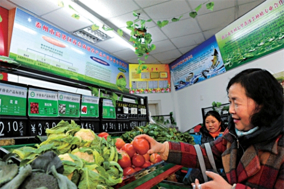 泰州构建农产品现代流通网 试解 卖难买贵