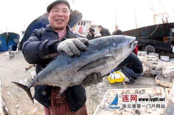 连云港赣榆2000多艘渔船新年首捕满载而归