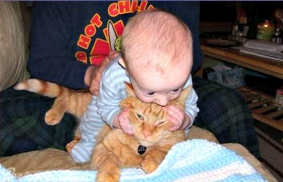 宝宝与宠物互咬瞬间 呆萌姿态惹人爱