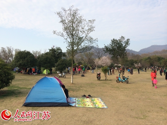 踏青时节 南京琵琶湖公园现毁绿行为