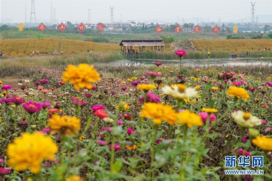 （社會）（5）南京谷裡：全域建設美麗鄉村大景區