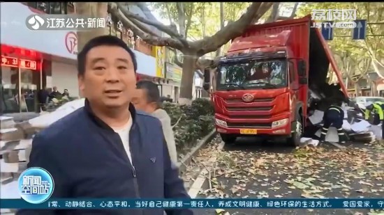 南京啟動城市梧桐樹守護計劃 多項措施預防“車撞樹”