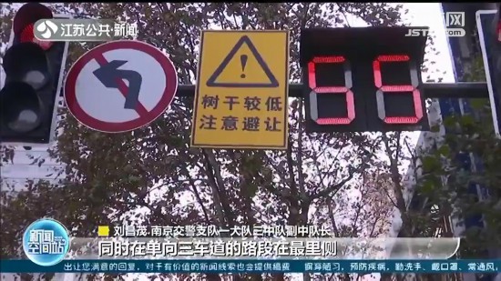 南京啟動城市梧桐樹守護計劃 多項措施預防“車撞樹”