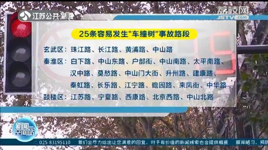 南京啟動城市梧桐樹守護計劃 多項措施預防“車撞樹”