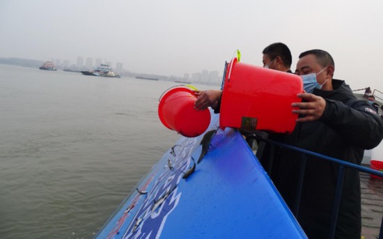 揚州五年來1.12億尾（隻）魚苗游入長江