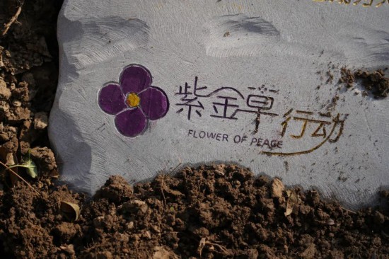 2023“紫金草行动”在南京启动 超20万网友和市民参与