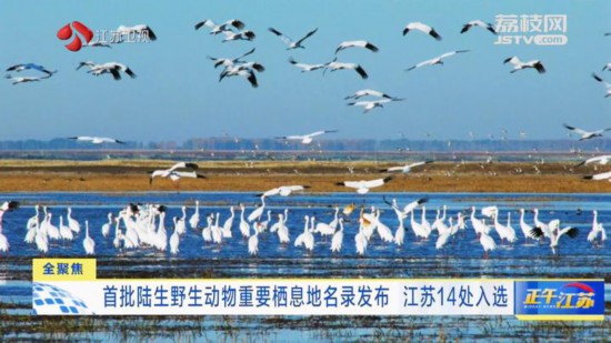 首批陆生野生动物重要栖息地名录发布 江苏14处入选
