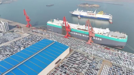 2024年4月1日，兩千余輛小汽車在連雲港港68號泊位集結，准備裝載上船。（受訪者供圖）