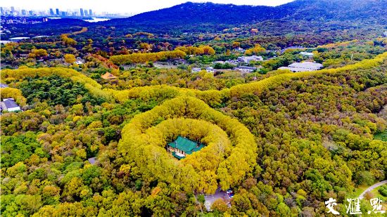 初冬南京钟山风景区美如仙境